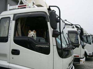 recruit_img001